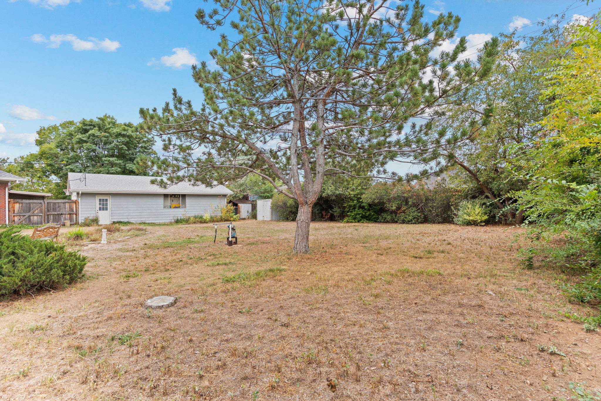 38-web-or-mls-8659-Leo-Rowen-11349-Marion-St-Northglenn-CO-80233-137_1062