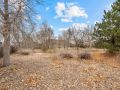 46-web-or-mls-8029-Leo-Rowen-11450-Paris-St-Commerce-City-CO-80640_141