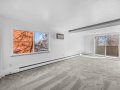 5-web-or-mls-3597-Leo-Rowen-1149-Columbine-St-201-Denver-CO-80206_104