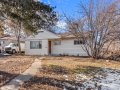 1-web-or-mls-4778-Leo-Rowen-1195-S-Tejon-St-Denver-CO-80223_100
