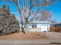 2-web-or-mls-4684-Leo-Rowen-13115-Pensacola-Pl-Denver-CO-80239_100