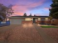 1-web-or-mls-6520-Leo-Rowen-15303-E-10th-Ave-Aurora-CO-80011_100_DTE