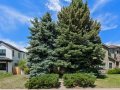 3-web-or-mls-7081-Leo-Rowen-1665-S-Madison-St-Denver-CO-80210_100