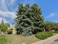 4-web-or-mls-7081-Leo-Rowen-1665-S-Madison-St-Denver-CO-80210_101