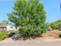 3-web-or-mls-7471-Leo-Rowen-1727-W-Asbury-Ave-Denver-CO-80223_100-1