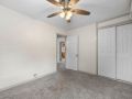 26-web-or-mls-8662-Leo-Rowen-3126-N-Race-St-Denver-CO-80205-127_0784
