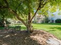 33-web-or-mls-6038-Leo-Rowen-3144-S-Wheeling-Way-303-Aurora-CO-80014_131