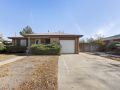 2-web-or-mls-6250-Leo-Rowen-3182-Uvalda-St-Aurora-CO-80011_100-copy