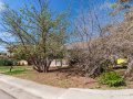2-web-or-mls-6767-Leo-Rowen-522-N-Columbine-St-Golden-CO-80403_101