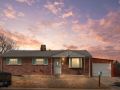 1-web-or-mls-6323-Leo-Rowen-5493-Quari-St-Denver-CO-80239_100-copy-2