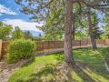 5577-E-Links-Circle-Web-Quality-049-65-Backyard