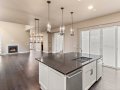 8-web-or-mls-3873-Leo-Rowen-66-Niagara-St-Denver-CO-80224_107