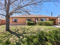 3-web-or-mls-5161-Leo-Rowen-787-Scranton-St-Aurora-CO-80011_101