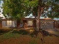 1-web-or-mls-5789-Leo-Rowen-9207-Birch-St-Thornton-CO-80229_100