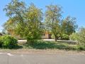2-web-or-mls-8145-Leo-Rowen-9690-W-36th-Ave-Wheat-Ridge-CO-80033_100