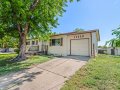 3-web-or-mls-5455-Leo-Rowen-11110-Cherry-Cir-Thornton-CO-80233_101