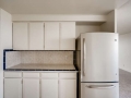 1155 Ash St 1407 Denver CO-small-012-011-Kitchen-666x445-72dpi