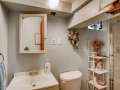 1229-S-Garfield-Denver-CO-small-023-022-Lower-Level-Bathroom-666x444-72dpi