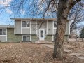 2-web-or-mls-6297-Leo-Rowen-1320-Youngfield-St-Golden-CO-80401_100