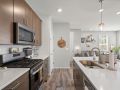 14-web-or-mls-8407-Leo-Rowen-14220-Alpine-Lily-Trl-Parker-CO-80134_116