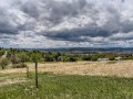 35-Views