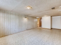 1627 S Julian Way Denver CO-small-021-021-Lower Level Family Room-666x445-72dpi