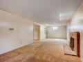 1727 S Locust Street Denver CO-large-022-015-Lower Level Family Room-1500x1000-72dpi