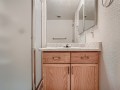 37-Lower-Level-Bathroom