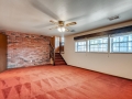 203 Titan Street Aurora CO-large-021-021-Lower Level Family Room-1500x997-72dpi
