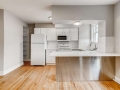 215 E 11th Ave C4 Denver CO-small-009-008-Kitchen-666x444-72dpi