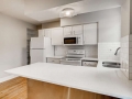 215 E 11th Ave C4 Denver CO-small-010-012-Kitchen-666x444-72dpi