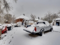 2177 S Bannock Denver CO 80223-large-026-026-Back Yard-1500x1000-72dpi