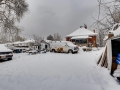 2177 S Bannock Denver CO 80223-large-027-025-Back Yard-1500x1000-72dpi