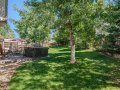 34-web-or-mls-4350-Leo-Rowen-22116-Pensive-Ct-Parker-CO-80138_133