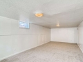 2240 S Clermont Street Denver-small-022-015-Lower Level Living Room-666x445-72dpi