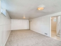 2240 S Clermont Street Denver-small-023-028-Lower Level Living Room-666x445-72dpi