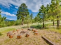 228 Columbine Lane Evergreen-small-030-017-Outdoor Firepit-666x445-72dpi