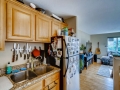 2345 Clay Street 201 Denver CO-small-014-017-Kitchen-666x445-72dpi