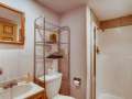 2486-S-Dillon-Street-Aurora-CO-small-018-018-Lower-Level-Bathroom-666x445-72dpi