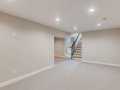 2999 S Adams St Denver CO-small-022-013-Lower Level Family Room-666x444-72dpi