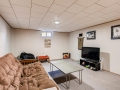 3116 S Franklin St Englewood-large-019-9-Lower Level Family Room-1500x999-72dpi