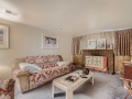 19-Lower-Level-Family-Room