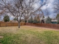 28-Back-Yard