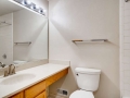 3333 E Florida Ave 95 Denver-small-020-020-Lower Level Bathroom-666x444-72dpi