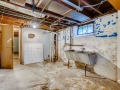 342 S Downing Street Denver CO-small-026-019-Lower Level Basement-666x446-72dpi