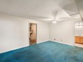 30-web-or-mls-6102-Leo-Rowen-3530-Ivanhoe-St-Denver-CO-80207_129