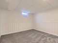 29-Lower-Level-Bedroom