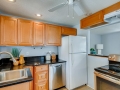 373 S Locust Street Denver CO-large-013-020-Kitchen-1500x997-72dpi