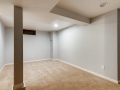 373 S Locust Street Denver CO-large-021-021-Lower Level Family Room-1500x997-72dpi