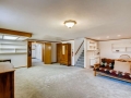 430 S Newport Way Denver CO-small-022-026-Lower Level Recreation Room-666x444-72dpi
